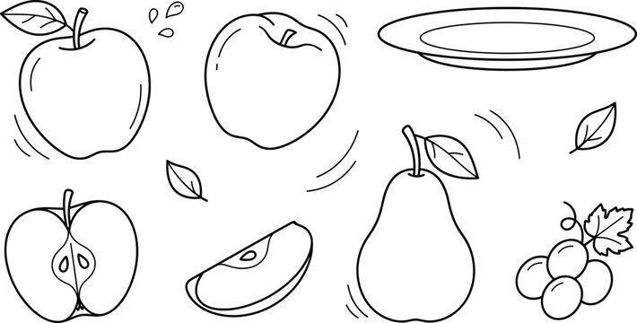 Hand drawn line art illustration of fresh fruits collection featuring whole apples apple slices a pear and grapes