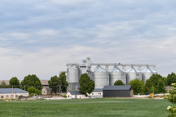 Complex of grain silos with roung green wheat field under cloudy sky. Copy space. © kyrychukvitaliy
