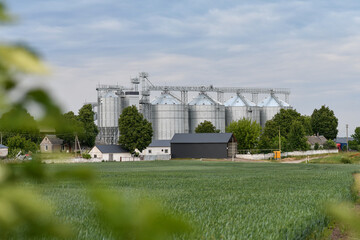 Low angle view of grain silos in background with blurred young green wheat field under cloudy sky. Selective focus. © kyrychukvitaliy