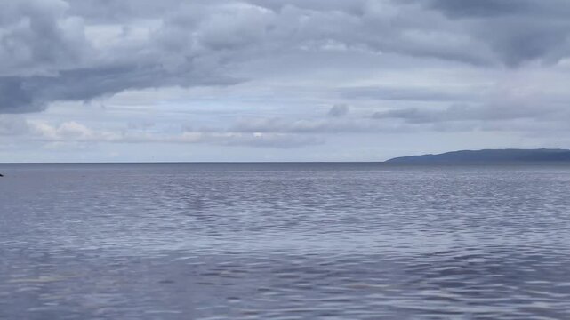 duck moving on lake water surface scenic view jonkoping horizon footage