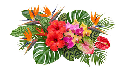 Tropical flower arrangement with bird of paradise png on isolated transparent background © PNG Studio 99
