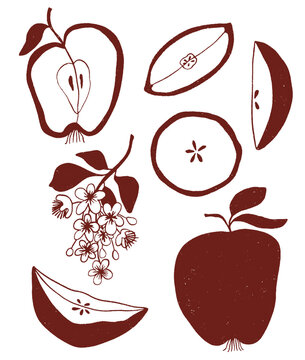 Autumn illustrations with apple fruit elements