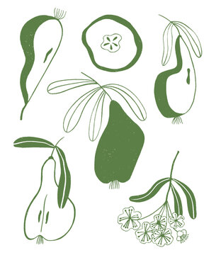 Autumn illustrations with pear fruit elements