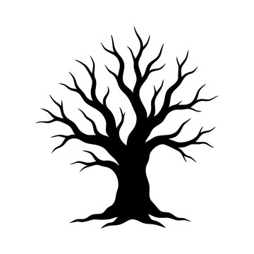 Vector silhouette of an old  bare tree
