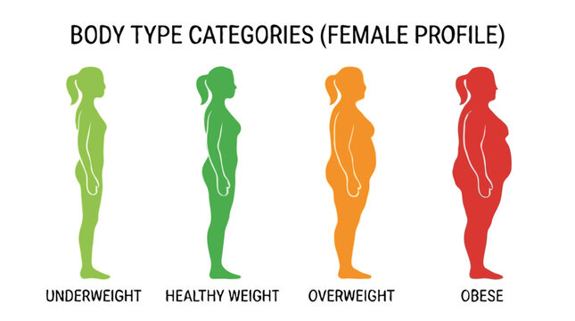 Infographic Silhouette Chart of Female Profile Body Weight Types