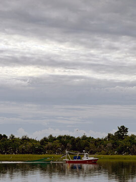 SC LR Seagulls Following Boat V 2026