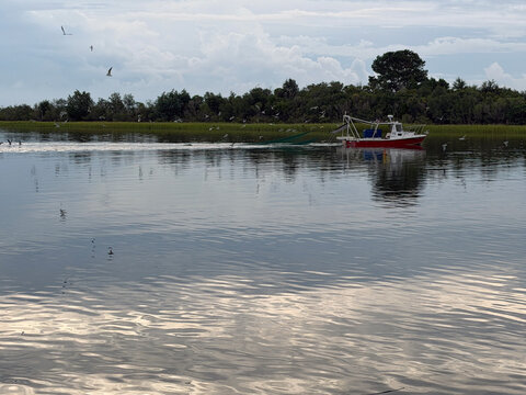 SC LR Seagulls FOllowing Boat Water 2026