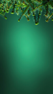 fir tree border isolated on green empty background, social media texture template with copy space for christmas or happy new year greeting card