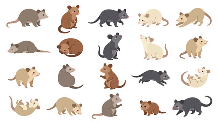 Obraz premium Set of cute opossum characters in various poses and colors isolated on white background.