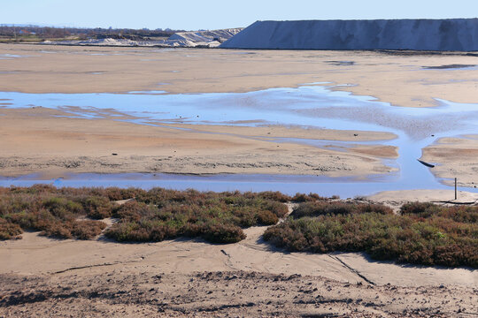 Beau paysage au sein de la Camargue