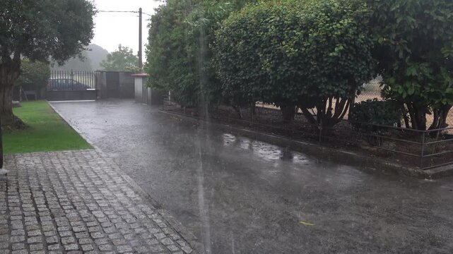 Heavy rain downpour during summer storm flooding residential driveway surrounded by green trees