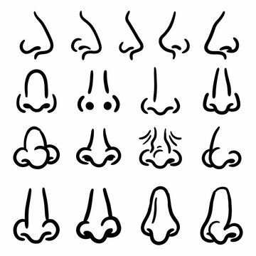 Set of diverse human nose shapes and profiles in black line art style for facial anatomy and character design