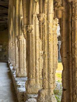 Row of slender stone columns and capitals lining the cloister gallery of St. Peter collegiate church, Gers, La Romieu, France