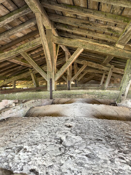 Timber roof framing above the stone vaults of St. Peter collegiate church, Gers, La Romieu, France