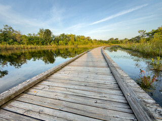 Obraz premium wooden walkway along a lake in Carmel Indiana 