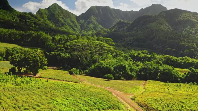 Moorea island vibrant tropical landscape with lush green mountains and valleys covered in rich vegetation, winding rural road and clear sky providing natural light for the scene. Drone flight shot