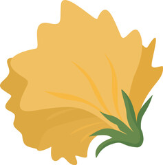 Fototapeta premium Yellow Carnation Flower Head Botanical Illustration
