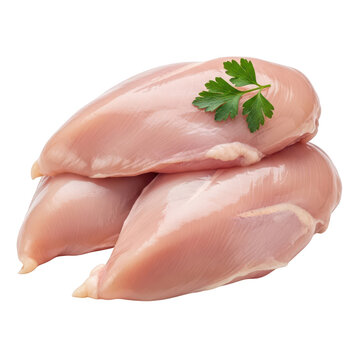 Fresh raw chicken breast fillets with a green parsley leaf on top isolated on white background
