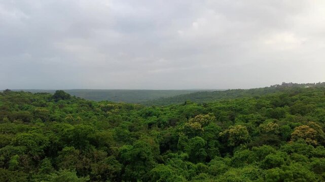 Train Window View of Dense Green Forest Along Konkan Railway in Maharashtra