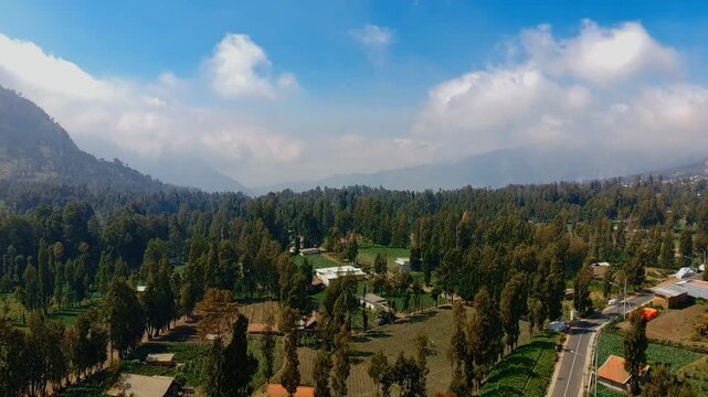 Aerial view of Cemorolawang village surrounded by lush green trees and mountainous landscape in Kecamatan Sukapura, Jawa Timur, Indonesia.