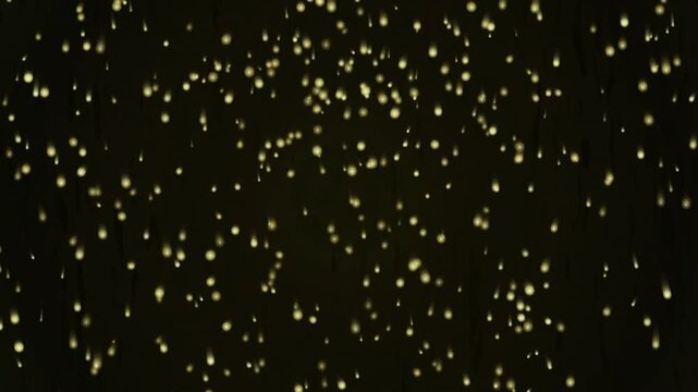 Gilded Shower Black and Golod Drifting Rain Motion Background