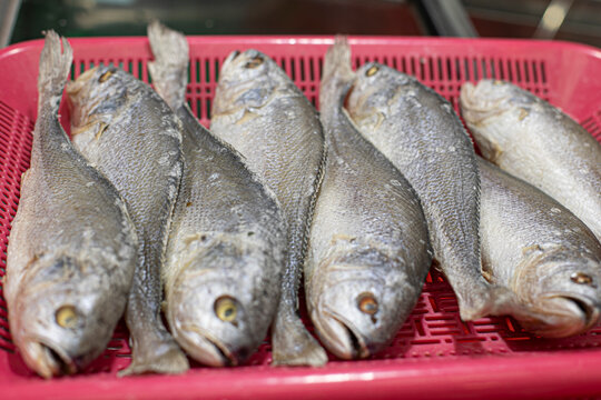 Dried yellow croakers tied with strings for sale market in south korea.