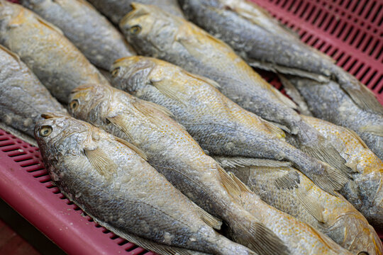 Dried yellow croakers tied with strings for sale market in south korea.