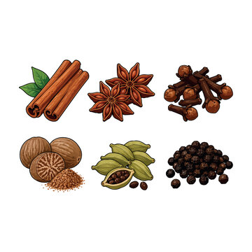 Aromatic Spice Collection Vector, Cinnamon, Star Anise, Cloves, Nutmeg, Cardamom and Black Pepper.