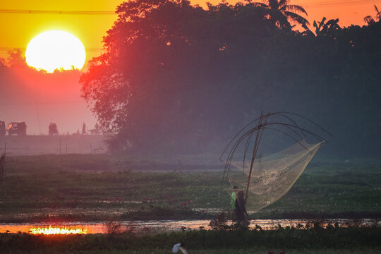 Gazipur, Bangladesh - 17 November 2025: View of a fisherman with a traditional lift net in the wetlands at sunset, with lush trees and golden light.
