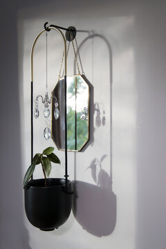 Hanging plant pot with a small plant and sunlight creating shadows