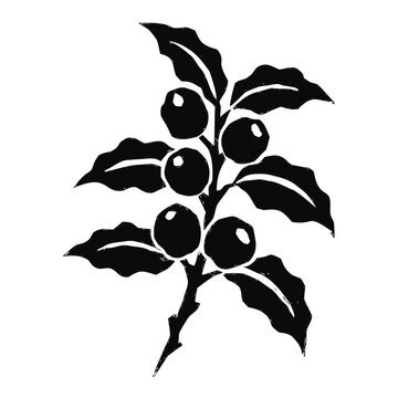 Coffee plant branch with leaves and berries is illustrated in a bold black linocut style.