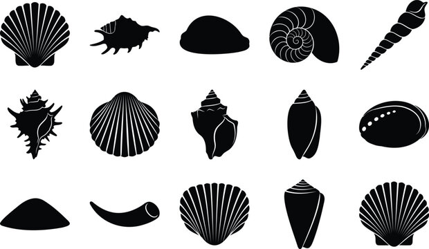 Set of seashell collection and marine mollusk snail silhouettes