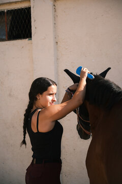 Horsewoman brushing a horse outdoors: equestrian lifestyle