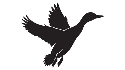 Fototapeta premium Flying duck with outstretched wings is depicted as a black silhouette