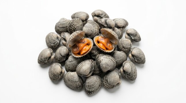 Pile of fresh cockles on a white surface displaying open shells with vibrant orange interiors and textured exteriors