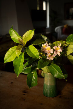 Fresh Flowers in a Green Vase on a Wooden Table in a Room
