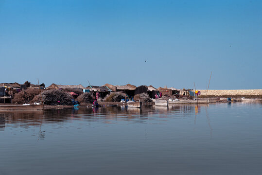 Dadu District, Sindh, Pakistan - 30 January 2020: View of the Mohana settlement on the banks of Manchar Lake with wooden boats moored in the calm water under a clear blue sky.