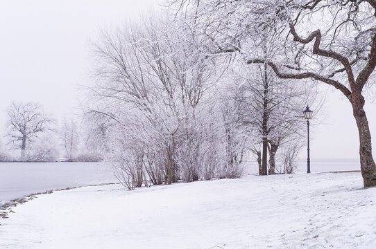 Snow Covered Park and Vintage Street Lamp beside Lake in Schwerin, Germany