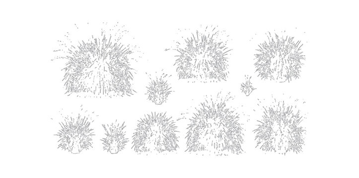 Set of sketch hand drawn grass tufts and simple foliage outlines for landscape design projects decorative elements rendered as minimal vector illustration art.