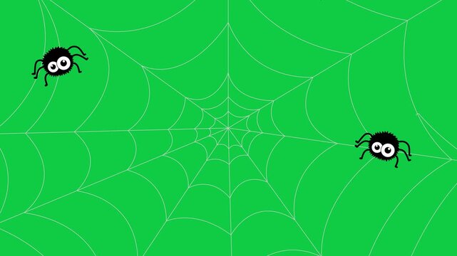 halloween spiders on net webs loop isolated green screen animation,chroma key moving spider scary party celebration social media motion design element