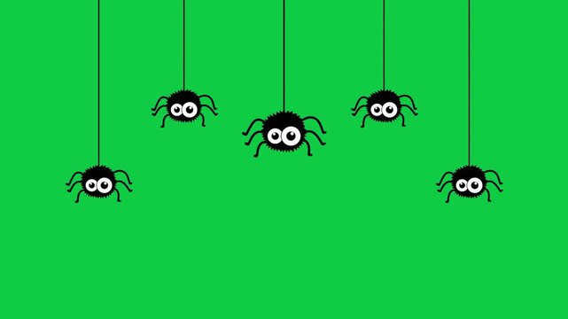 halloween spiders on nets loop isolated green screen animation,chroma key hanging spider set scary party celebration social media motion design element