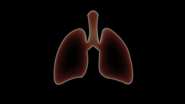 The appearance of the neon glowing symbol lungs. neon human Lungs icon animation. Human respiratory system, lungs, anatomy, lungs icon with black.neon human Lung and kidney icon animation. Glowing.Gk