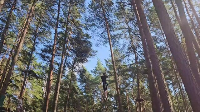 Person climbs trees and swings through forest in outdoor adventure park