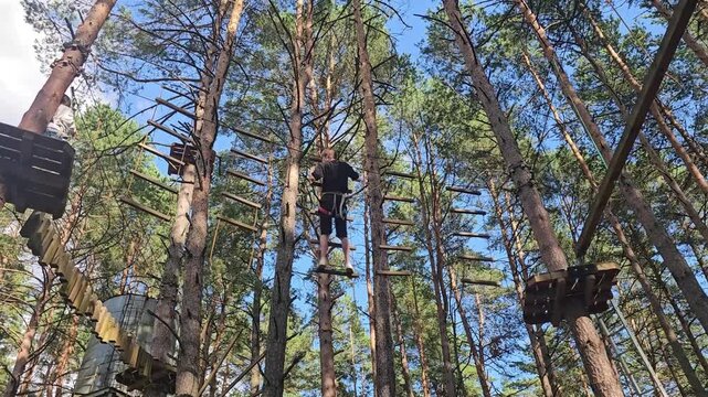 Climbing high ropes in the forest on a sunny day