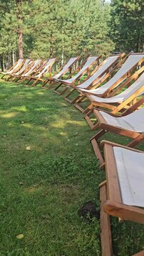 Loungers set in a green area under trees for relaxation and enjoyment