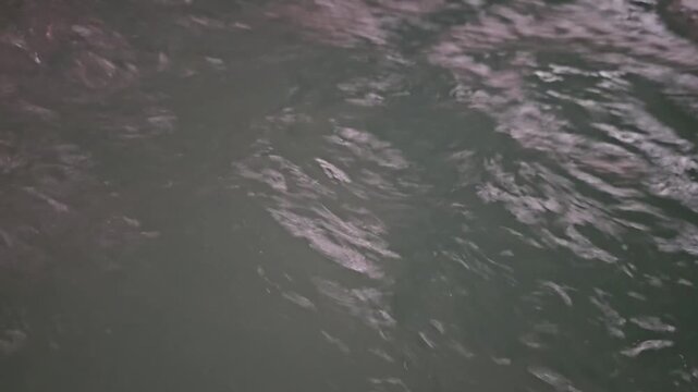 Ripples and reflections on calm water during a late afternoon in a quiet park