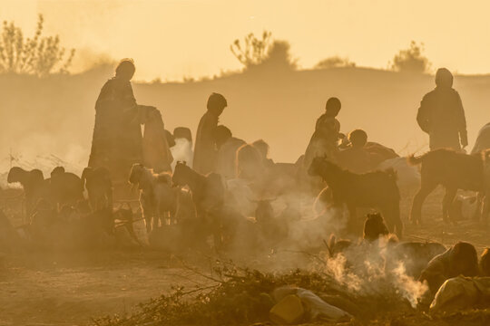 Zhob, Balochistan, Pakistan - 16 October 2020: View of shepherds tending to their goats in a dusty field at sunset, with smoke rising from small fires.