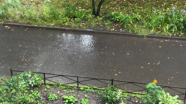 Raindrops splashing into a large puddle on a wet asphalt road bordered by a black metal fence and green grass on a gloomy autumn day.