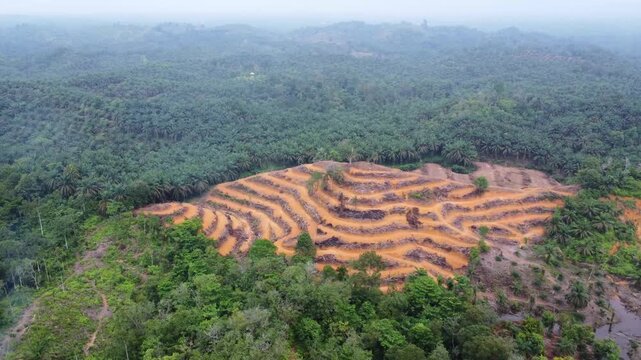 Aerial view of deforested hills showing exposed red soil and terraced land for plantation development surrounded by dense tropical forest in Langkat, North Sumatera, Indonesia.