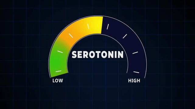 serotonin level measuring device animation.zoom effect.Infographic gauge, tachometer, speedometer.